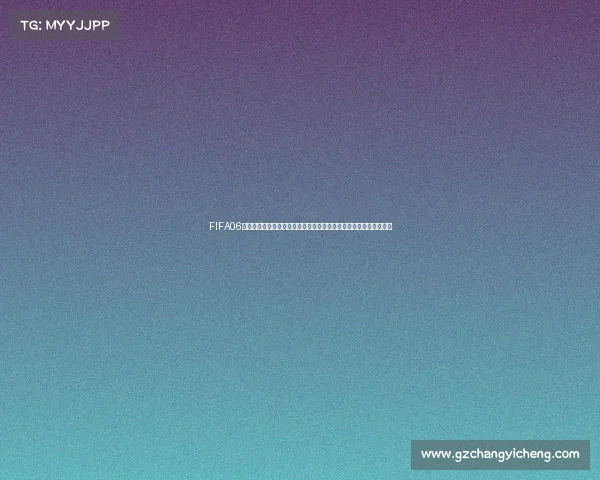 FIFA06世界杯中文补丁经典汉化安装教程与完整体验分享怀旧回顾攻略解析